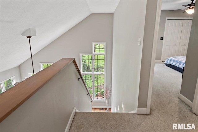 hall with a healthy amount of sunlight, carpet flooring, an upstairs landing, and vaulted ceiling