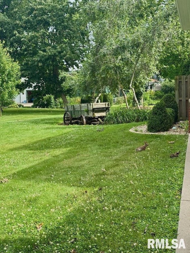 1249 W State St, Jacksonville, IL 62650 - photo 70