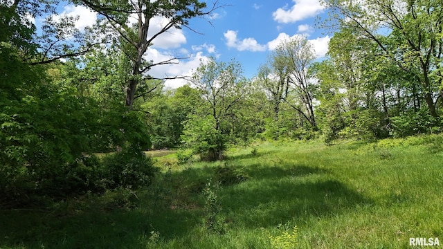 26266 E County Road 700th Hwy N, Easton, IL 62633 - photo 16