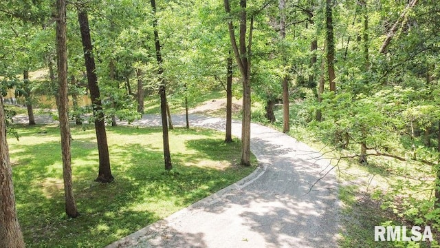 26266 E County Road 700th Hwy N, Easton, IL 62633 - photo 25