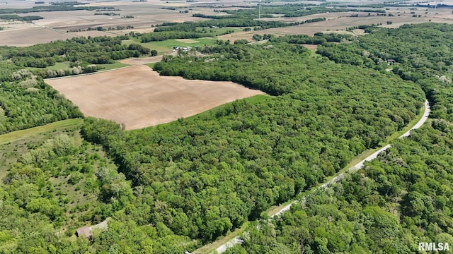 26266 E County Road 700th Hwy N, Easton, IL 62633 - photo 32