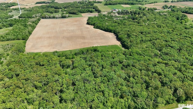 26266 E County Road 700th Hwy N, Easton, IL 62633 - photo 33