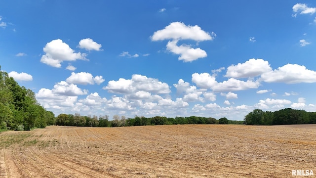 26266 E County Road 700th Hwy N, Easton, IL 62633 - photo 34