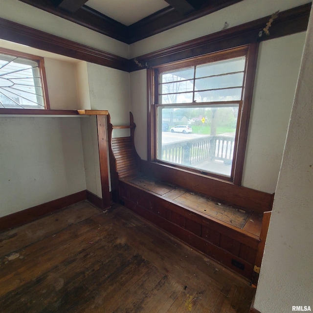 207 W Main St, Knoxville, IL 61448 - interior space with plenty of natural light and dark wood-style floors