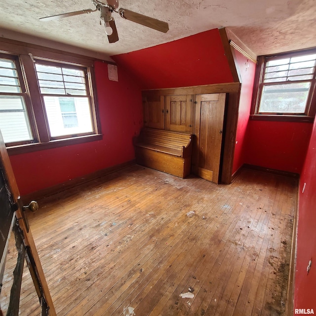 207 W Main St, Knoxville, IL 61448 - bonus room featuring light wood-style floors, lofted ceiling, ceiling fan, and a textured ceiling