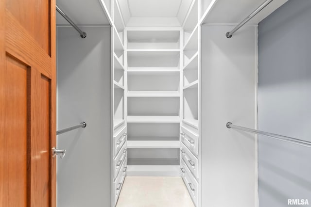 view of spacious closet