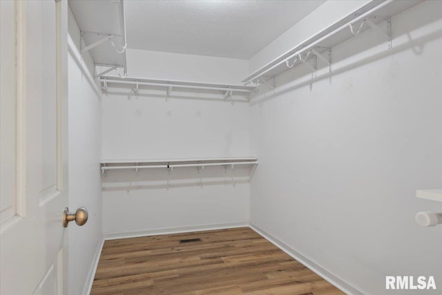 spacious closet featuring wood finished floors