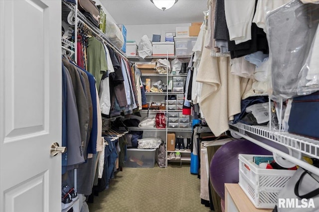 spacious closet with carpet floors