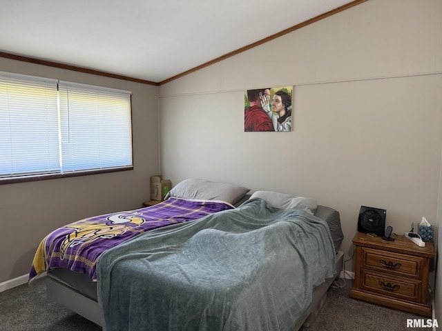 176 Lakeview Dr, Wataga, IL 61488 - bedroom featuring lofted ceiling and carpet