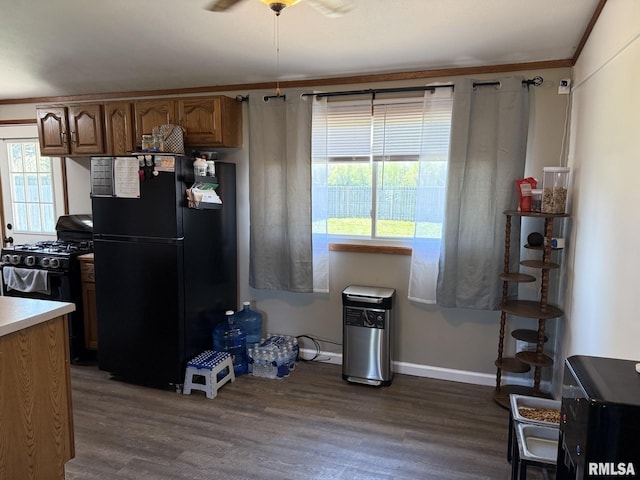 176 Lakeview Dr, Wataga, IL 61488 - kitchen featuring black appliances, healthy amount of natural light, dark wood-style floors, ceiling fan, and ornamental molding