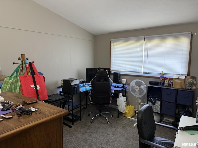 176 Lakeview Dr, Wataga, IL 61488 - office area featuring lofted ceiling and carpet flooring
