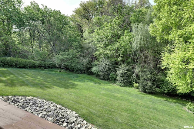 432 W Fairway Dr, Quincy, IL 62305 - view of green lawn featuring a forest view
