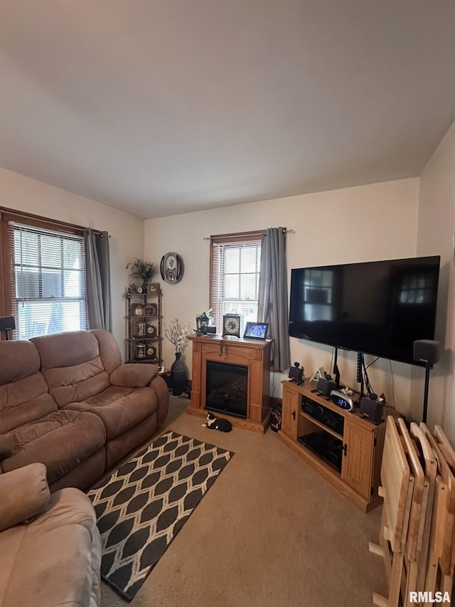 277 N Ivan Ave, Galesburg, IL 61401 - carpeted living area with a fireplace