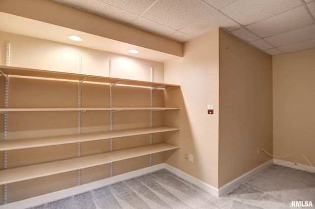 2628 S Forrest Green Dr, Decatur, IL 62521 - view of pantry