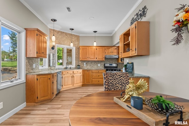 188 E Hazel Dell Ln, Springfield, IL 62712 - kitchen with appliances with stainless steel finishes, light wood-style flooring, tasteful backsplash, hanging light fixtures, and under cabinet range hood