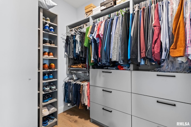 321 Harbor Point Pl, Springfield, IL 62712 - walk in closet with light wood-type flooring