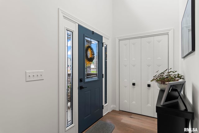 321 Harbor Point Pl, Springfield, IL 62712 - entryway featuring wood finished floors and healthy amount of natural light