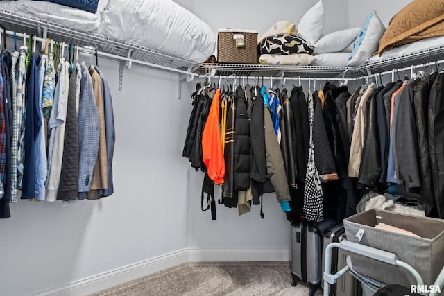 321 Harbor Point Pl, Springfield, IL 62712 - spacious closet featuring carpet