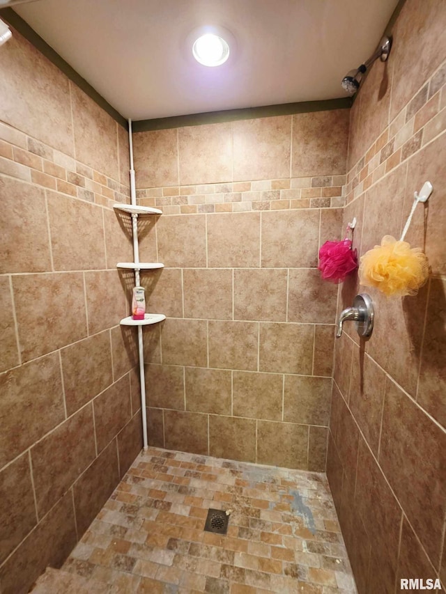 514 W Washington St, Mendon, IL 62351 - full bath with tiled shower