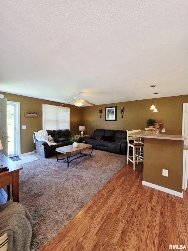 514 W Washington St, Mendon, IL 62351 - living room with a ceiling fan, wood finished floors, and baseboards