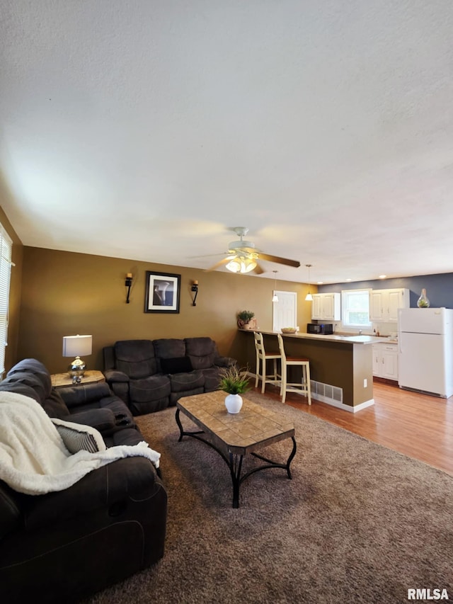 514 W Washington St, Mendon, IL 62351 - living area with light wood-style floors and ceiling fan