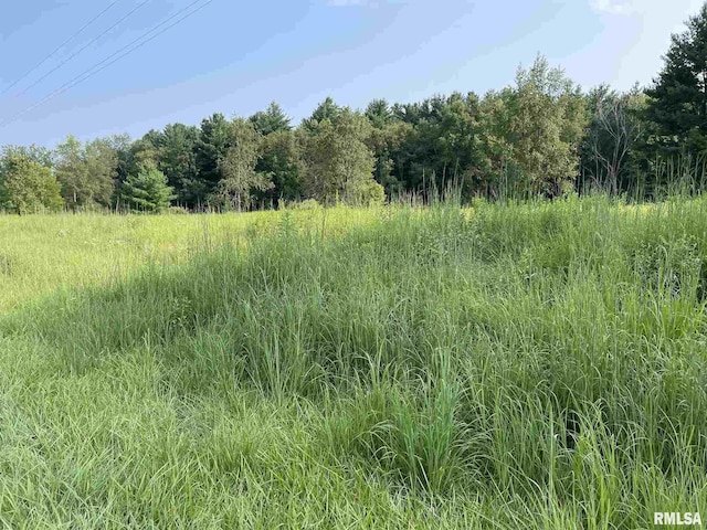 LOT258 Oak Run Dr, Dahinda, IL 61428