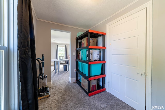 309 W State St, Payson, IL 62360 - hallway with carpet, ornamental molding, and a textured ceiling