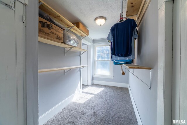 309 W State St, Payson, IL 62360 - walk in closet featuring carpet