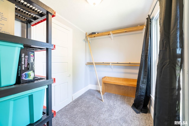 309 W State St, Payson, IL 62360 - walk in closet with carpet