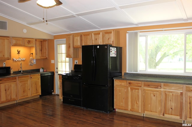 214 W B St, Alpha, IL 61413 - kitchen featuring black appliances, dark countertops, a sink, vaulted ceiling, and plenty of natural light