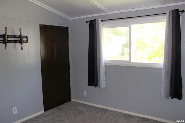 214 W B St, Alpha, IL 61413 - spare room featuring lofted ceiling, carpet flooring, and baseboards