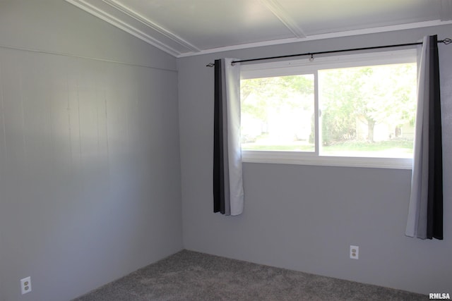 214 W B St, Alpha, IL 61413 - carpeted empty room featuring vaulted ceiling