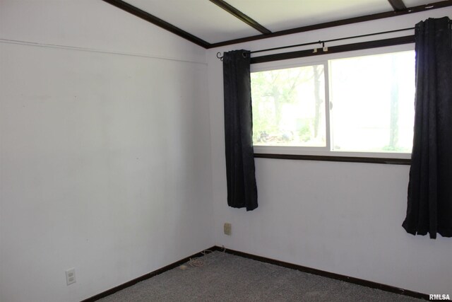 214 W B St, Alpha, IL 61413 - spare room featuring dark colored carpet, lofted ceiling, and baseboards
