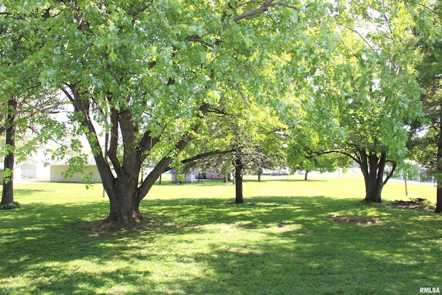 214 W B St, Alpha, IL 61413 - view of grassy yard