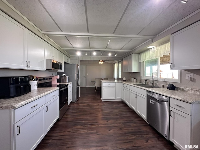209 Brookview Dr, Abingdon, IL 61410 - kitchen featuring stainless steel appliances, a peninsula, a sink, dark wood-style floors, and white cabinets