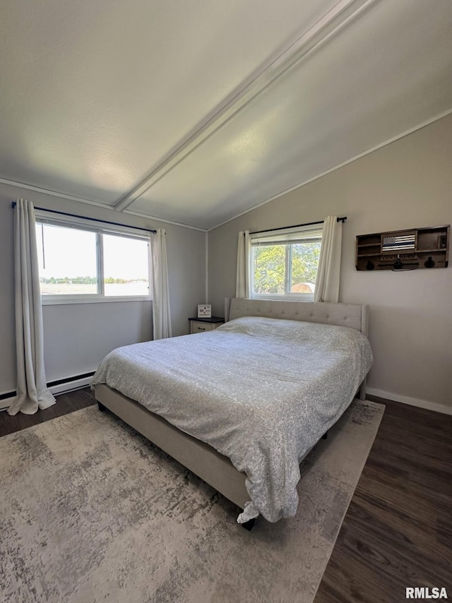 209 Brookview Dr, Abingdon, IL 61410 - bedroom featuring lofted ceiling, dark wood finished floors, and baseboards