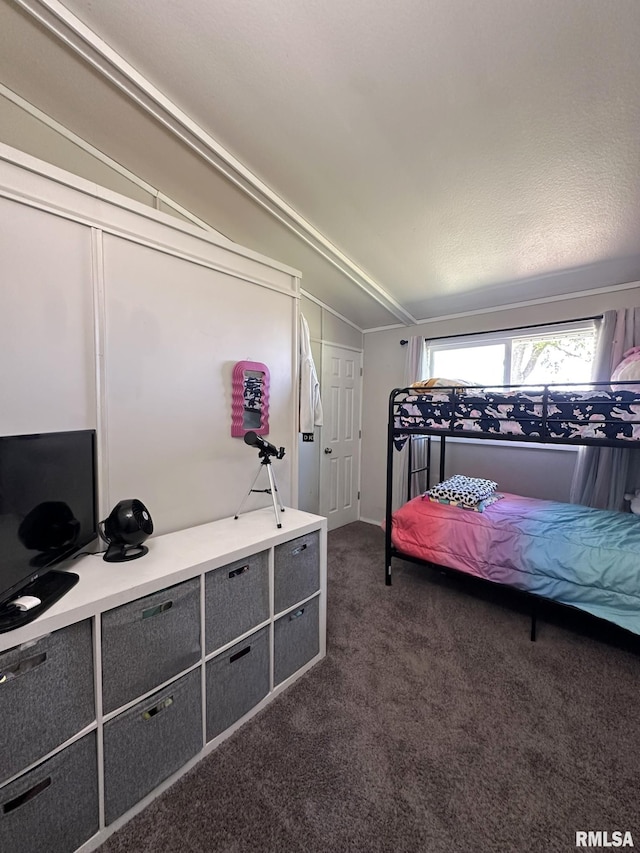 209 Brookview Dr, Abingdon, IL 61410 - bedroom with lofted ceiling and dark carpet