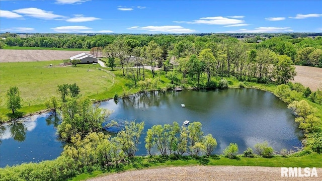 drone / aerial view of a large body of water