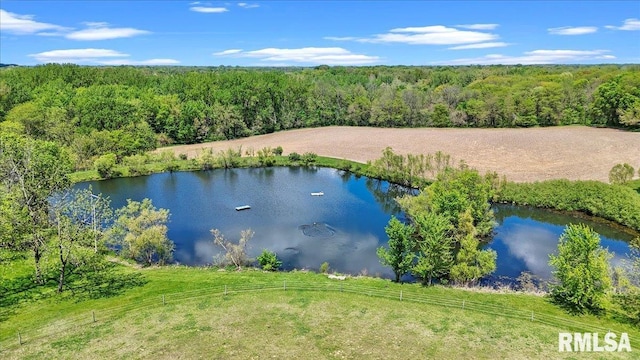 drone / aerial view of a forest and a nearby body of water