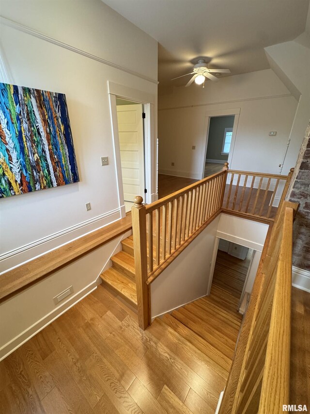 1216 N Cherry St, Galesburg, IL 61401 - photo 74