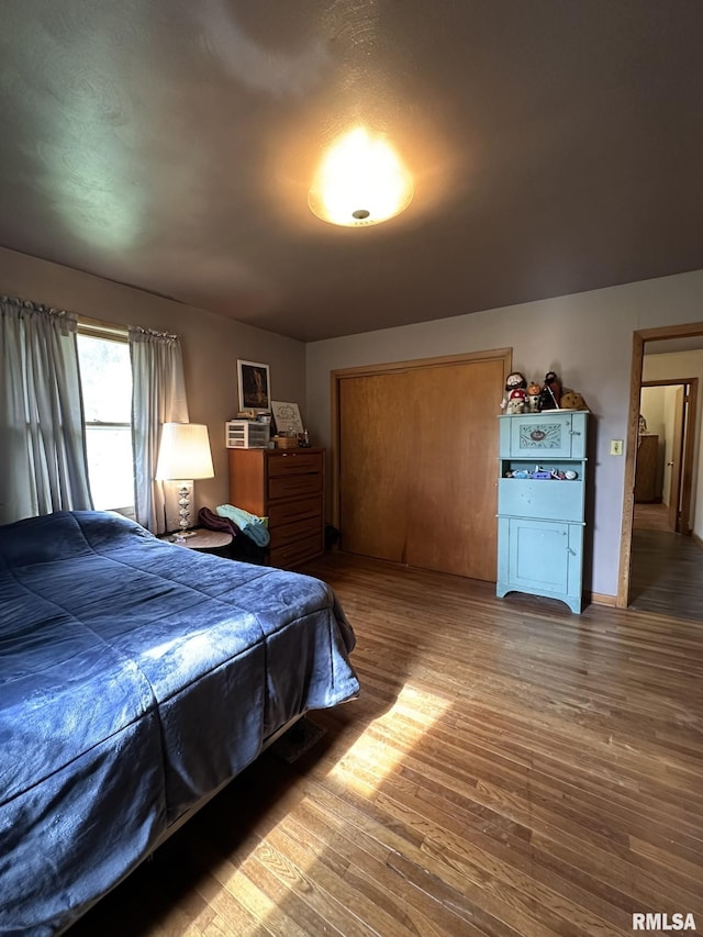 810 NW 7th Ave, Galva, IL 61434 - bedroom with wood finished floors and a closet