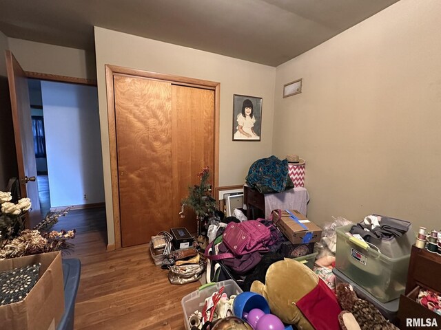 810 NW 7th Ave, Galva, IL 61434 - bedroom featuring wood finished floors