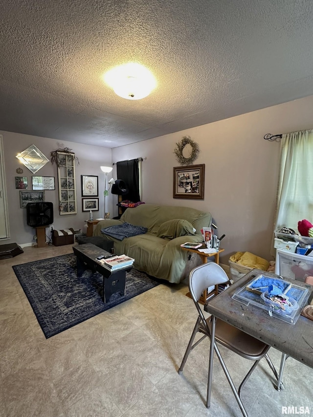 810 NW 7th Ave, Galva, IL 61434 - living area featuring a textured ceiling