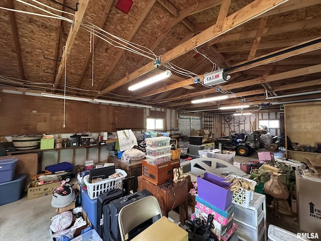 810 NW 7th Ave, Galva, IL 61434 - garage featuring a garage door opener