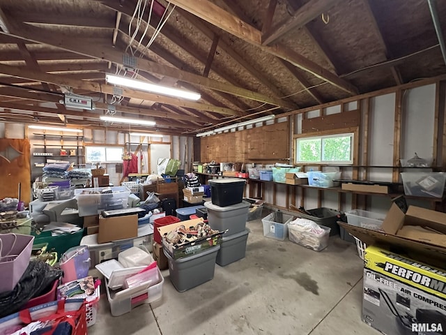 810 NW 7th Ave, Galva, IL 61434 - view of storage area