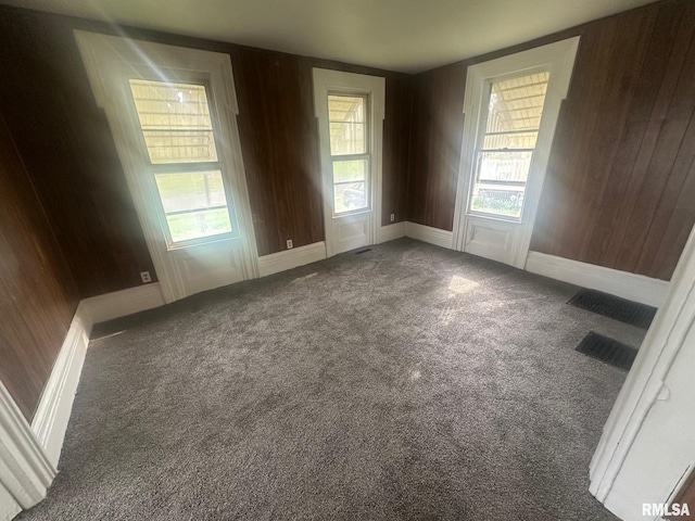 859 Mulberry St, Galesburg, IL 61401 - carpeted empty room featuring wood walls and baseboards