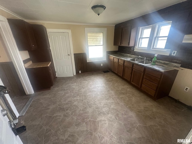 859 Mulberry St, Galesburg, IL 61401 - kitchen featuring a sink, plenty of natural light, wainscoting, ornamental molding, and brown cabinets
