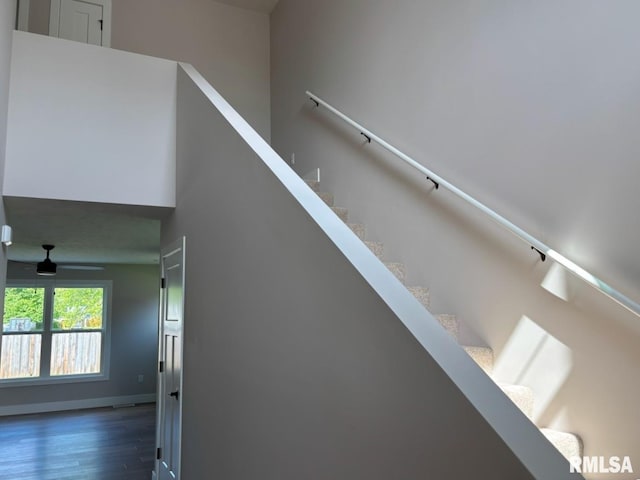 327 Waterwheel Dr, Rochester, IL 62563 - photo 16