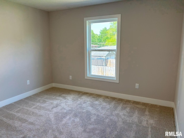 327 Waterwheel Dr, Rochester, IL 62563 - photo 25
