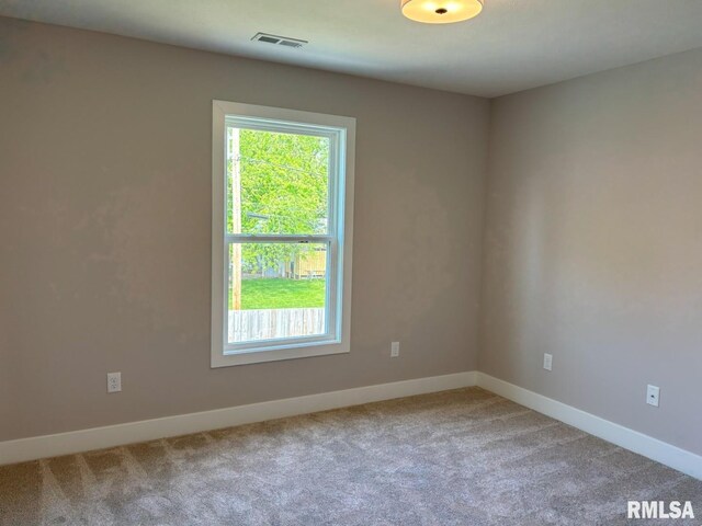 327 Waterwheel Dr, Rochester, IL 62563 - photo 28
